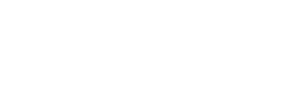Flir_Logo_BIANCO